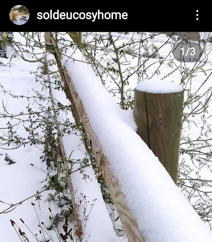 Soldeu Cosy Home